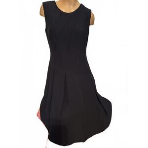 Banana Republic Dress Sz 0-petite